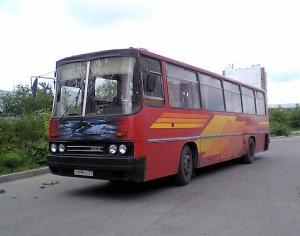Аренда туристического автобуса Икарус - 45 мест